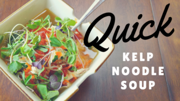Read more about the article Quick Kelp Noodle Soup