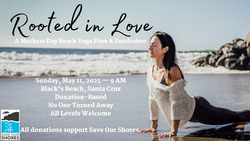 You are currently viewing Rooted in Love:  A Mother’s Day Beach Yoga Flow Fundraiser in Santa Cruz