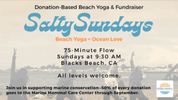 Read more about the article PAUSED – Salty Sunday: Donation-Based Beach Yoga in Santa Cruz