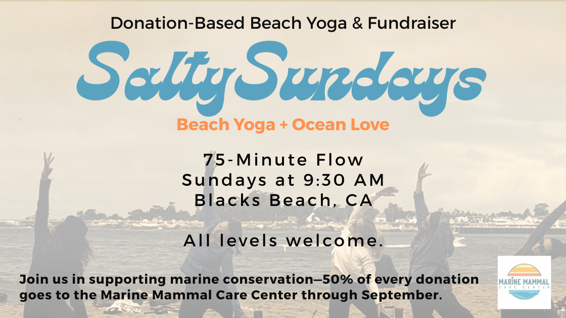You are currently viewing PAUSED – Salty Sunday: Donation-Based Beach Yoga in Santa Cruz