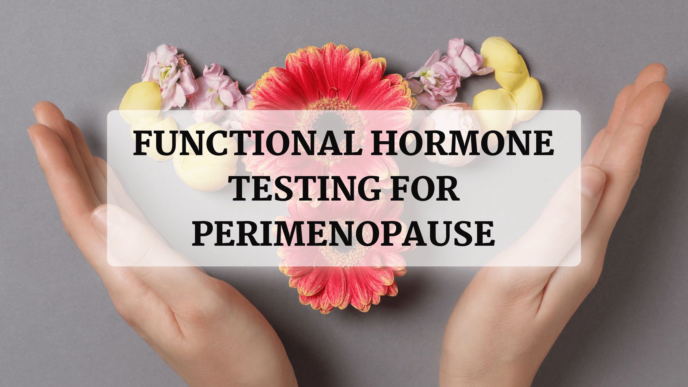 You are currently viewing Functional Hormone Testing for Perimenopause